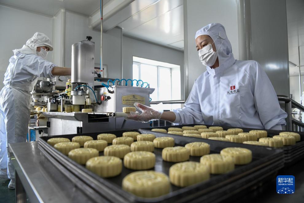 清泰棋牌图片